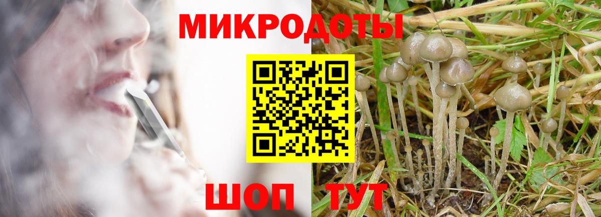 Владикавказ  Псилоцибиновые грибы Psilocybine cubensis  Вход с VPN 
