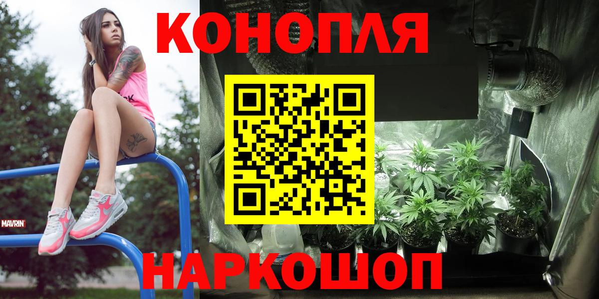 Шишки марихуана SATIVA & INDICA  Марихуана Ganja  Владикавказ  Вход с VPN  Бошки Шишки THC 21% 